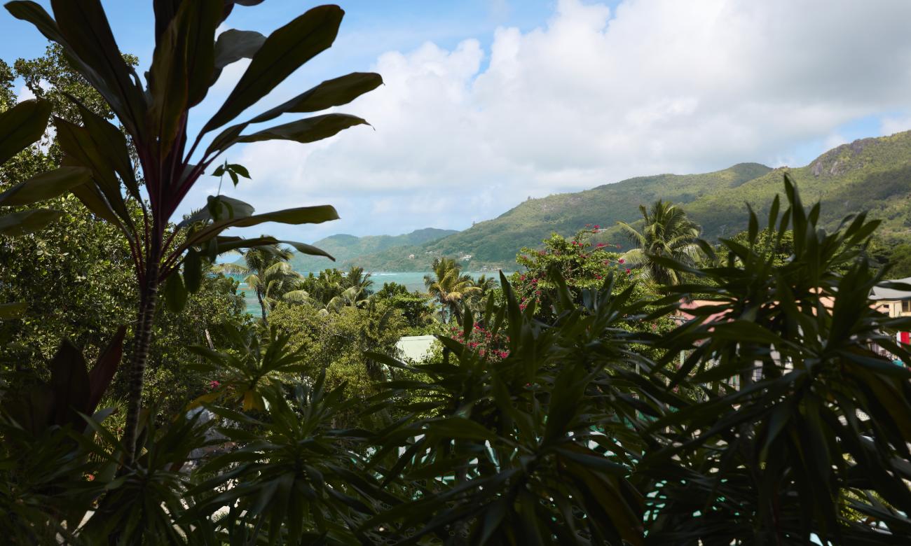 View from Junior Suites