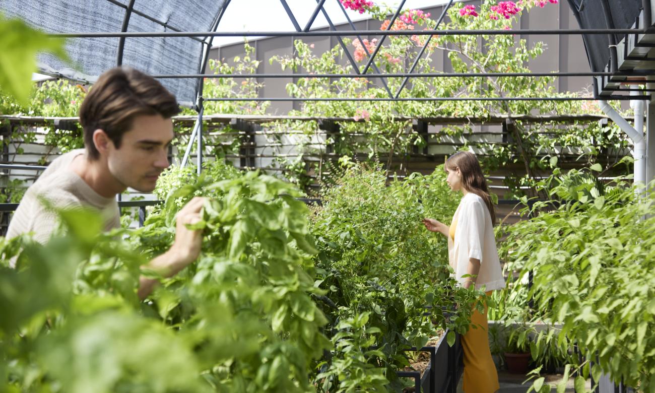 Couple in the spice garden